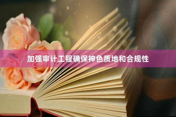 加强审计工程确保神色质地和合规性