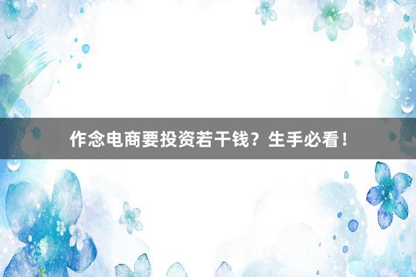 作念电商要投资若干钱？生手必看！