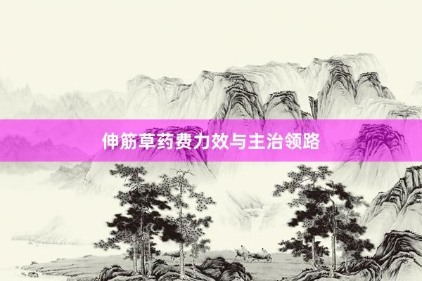 伸筋草药费力效与主治领路