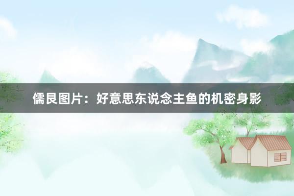 儒艮图片：好意思东说念主鱼的机密身影